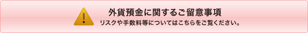 ご留意事項