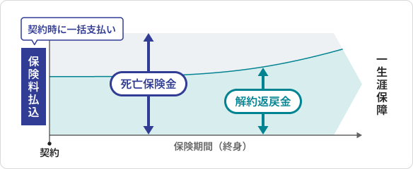 一時払終身保険のイメージ図示したものであり、商品により内容は異なります。