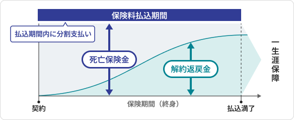 平準払終身保険のイメージ図示したものであり、商品により内容は異なります。