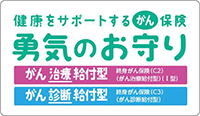 健康をサポートするがん保険勇気のお守り